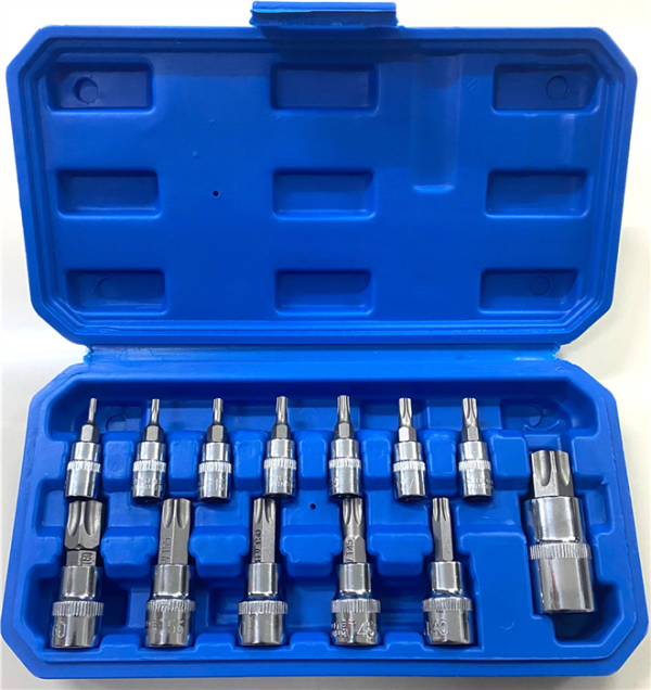 JUEGO DADOS TORX 13PCS 1/4-3/8-1/2 T8-T70 BALANZ
